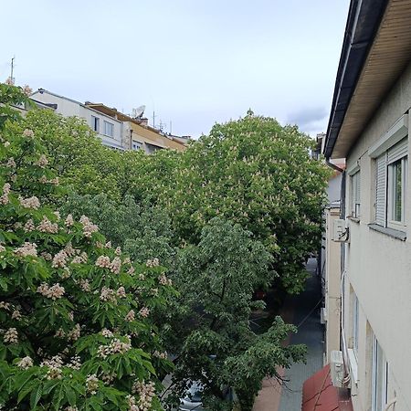 Hostel Mlin Balkan Skopje Zewnętrze zdjęcie