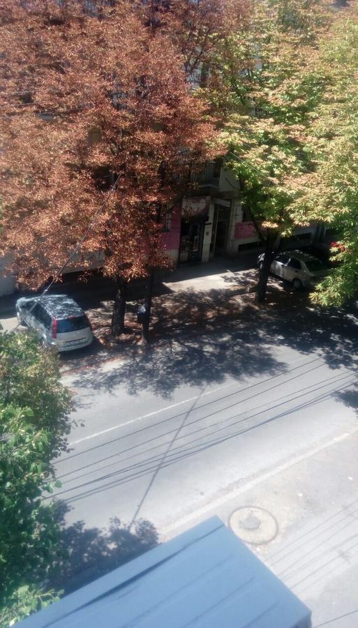 Hostel Mlin Balkan Skopje Zewnętrze zdjęcie